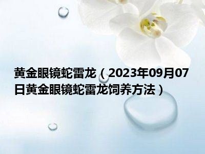 黄金眼镜蛇雷龙（2023年09月07日黄金眼镜蛇雷龙饲养方法）