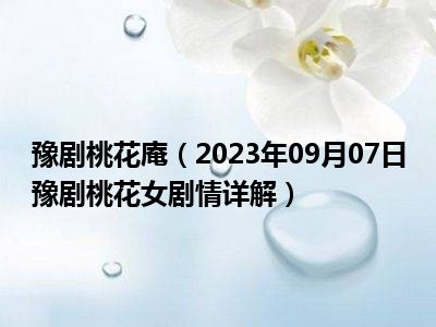 豫剧桃花庵（2023年09月07日豫剧桃花女剧情详解）