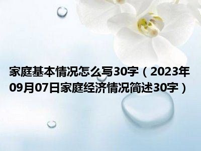 家庭基本情况怎么写30字（2023年09月07日家庭经济情况简述30字）