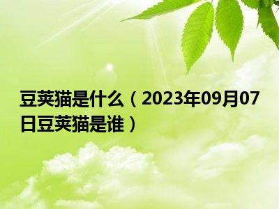 豆荚猫是什么（2023年09月07日豆荚猫是谁）