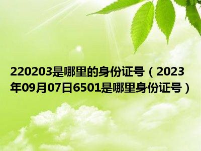 220203是哪里的身份证号（2023年09月07日6501是哪里身份证号）