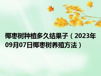 椰枣树种植多久结果子（2023年09月07日椰枣树养殖方法）