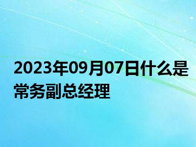 2023年09月07日什么是常务副总经理