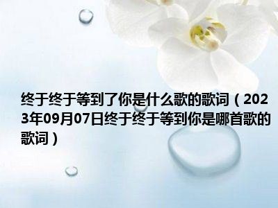 终于终于等到了你是什么歌的歌词（2023年09月07日终于终于等到你是哪首歌的歌词）