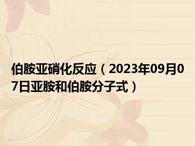 伯胺亚硝化反应（2023年09月07日亚胺和伯胺分子式）