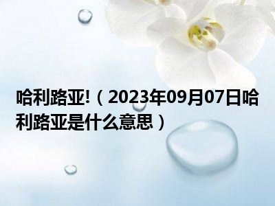 哈利路亚!（2023年09月07日哈利路亚是什么意思）