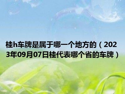 桂h车牌是属于哪一个地方的（2023年09月07日桂代表哪个省的车牌）