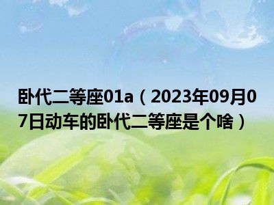 卧代二等座01a（2023年09月07日动车的卧代二等座是个啥）