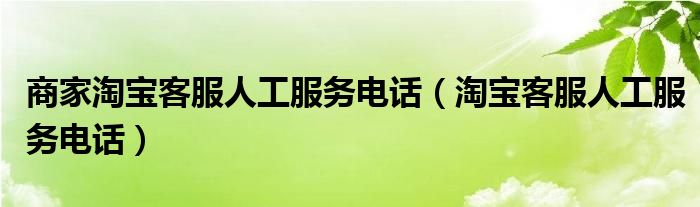  商家淘宝客服人工服务电话（淘宝客服人工服务电话）