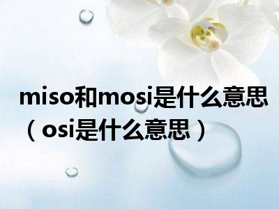 miso和mosi是什么意思（osi是什么意思）
