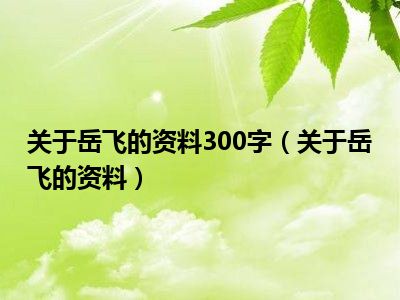 关于岳飞的资料300字（关于岳飞的资料）