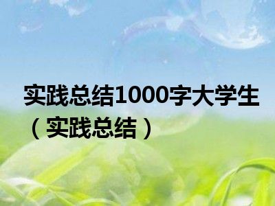 实践总结1000字大学生（实践总结）