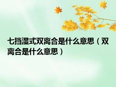 七挡湿式双离合是什么意思（双离合是什么意思）