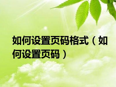 如何设置页码格式（如何设置页码）