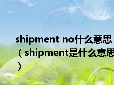 shipment no什么意思（shipment是什么意思）