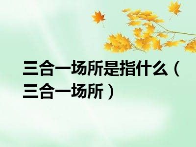 三合一场所是指什么（三合一场所）