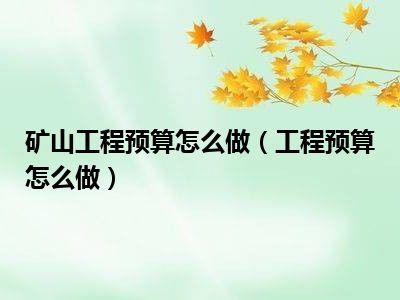 矿山工程预算怎么做（工程预算怎么做）