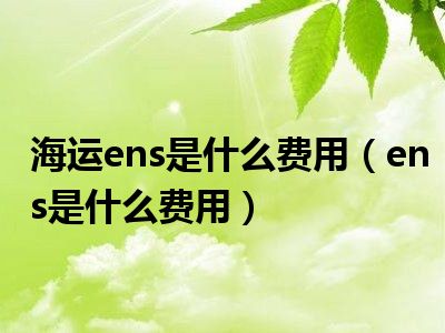 海运ens是什么费用（ens是什么费用）