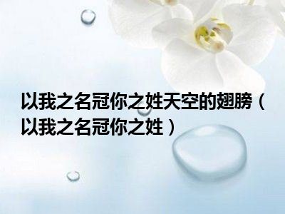 以我之名冠你之姓天空的翅膀（以我之名冠你之姓）