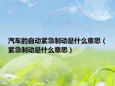 汽车的自动紧急制动是什么意思（紧急制动是什么意思）