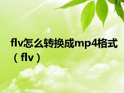 flv怎么转换成mp4格式（flv）