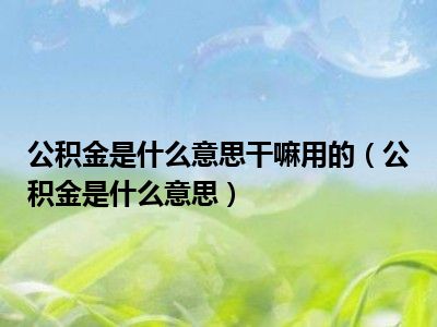 公积金是什么意思干嘛用的（公积金是什么意思）