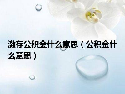 激存公积金什么意思（公积金什么意思）