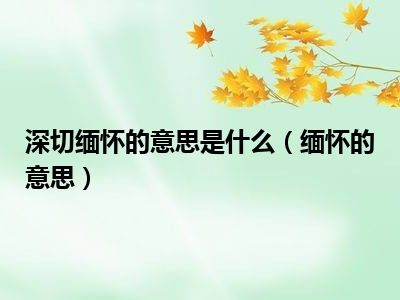 深切缅怀的意思是什么（缅怀的意思）