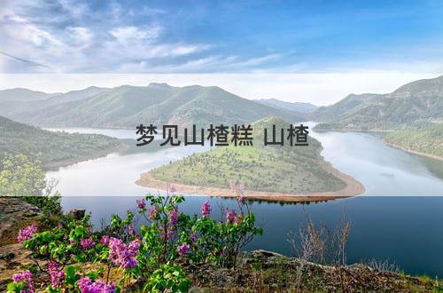 梦见山楂糕 山楂