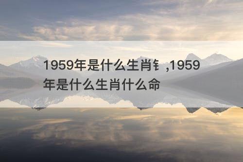 1959年是什么生肖钅 1959年是什么生肖什么命