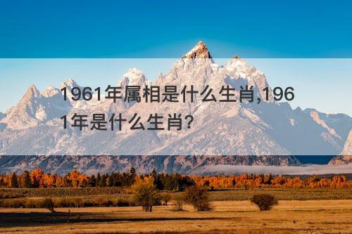 1961年属相是什么生肖 1961年是什么生肖