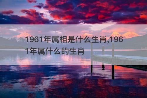 1961年属相是什么生肖 1961年属什么的生肖