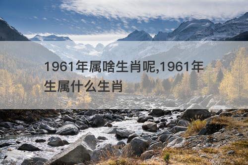 1961年属啥生肖呢 1961年生属什么生肖