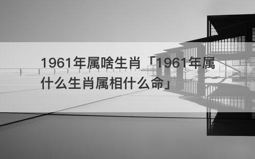 1961年属啥生肖「1961年属什么生肖属相什么命」