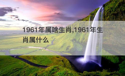 1961年属啥生肖 1961年生肖属什么