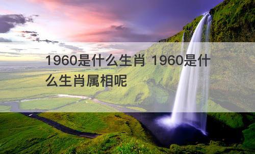 1960是什么生肖 1960是什么生肖属相呢