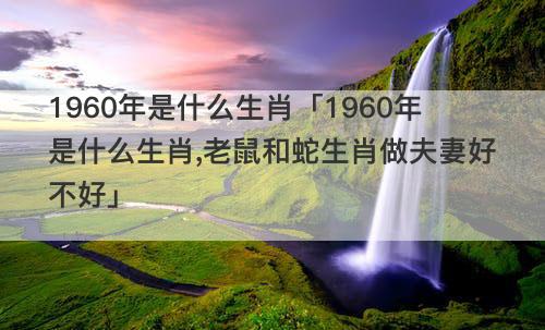 1960年是什么生肖「1960年是什么生肖,老鼠和蛇生肖做夫妻好不好」