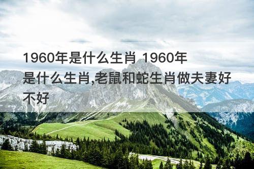 1960年是什么生肖 1960年是什么生肖 老鼠和蛇生肖做夫妻好不好