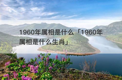 1960年属相是什么「1960年属相是什么生肖」