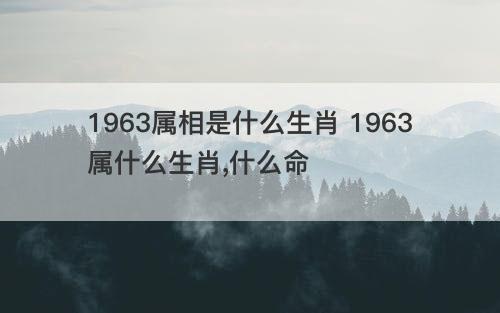 1963属相是什么生肖 1963属什么生肖 什么命