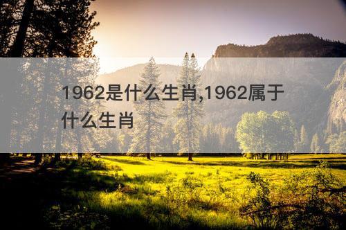 1962是什么生肖 1962属于什么生肖