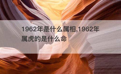 1962年是什么属相 1962年属虎的是什么命