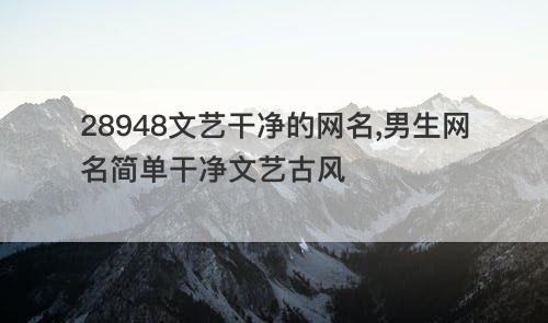 28948文艺干净的网名 男生网名简单干净文艺古风