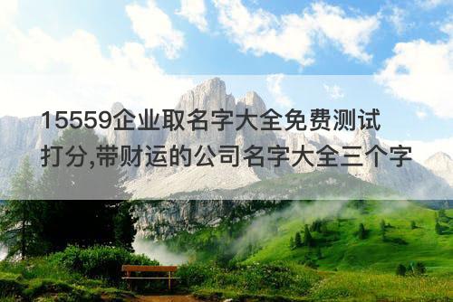 15559企业取名字大全免费测试打分 带财运的公司名字大全三个字