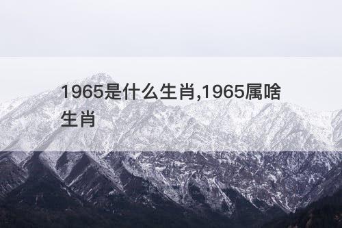 1965是什么生肖 1965属啥生肖