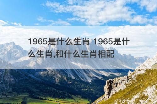 1965是什么生肖 1965是什么生肖,和什么生肖相配