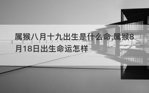 属猴八月十九出生是什么命,属猴8月18日出生命运怎样