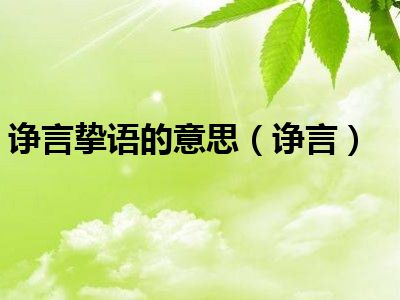 诤言挚语的意思（诤言）