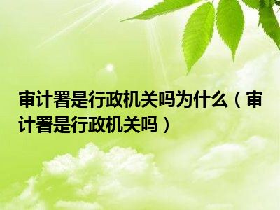 审计署是行政机关吗为什么（审计署是行政机关吗）