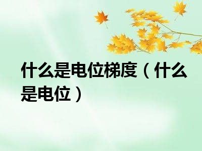 什么是电位梯度（什么是电位）